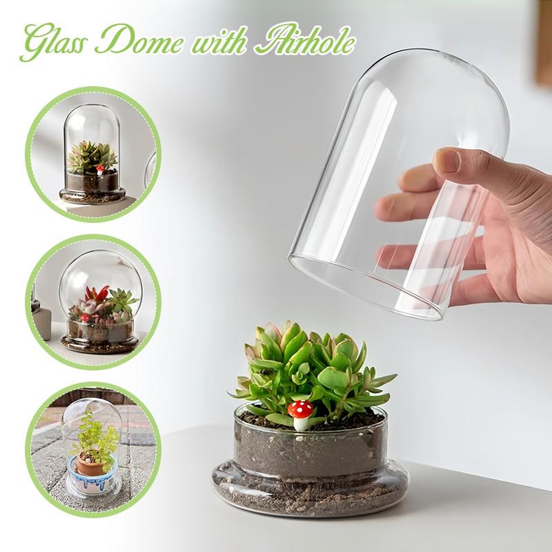 Clear Glass Dome with Airhole Glass Cloche Bell Jar with Base Home Tabletop Display Plant Flower Terrarium Container Home Decor