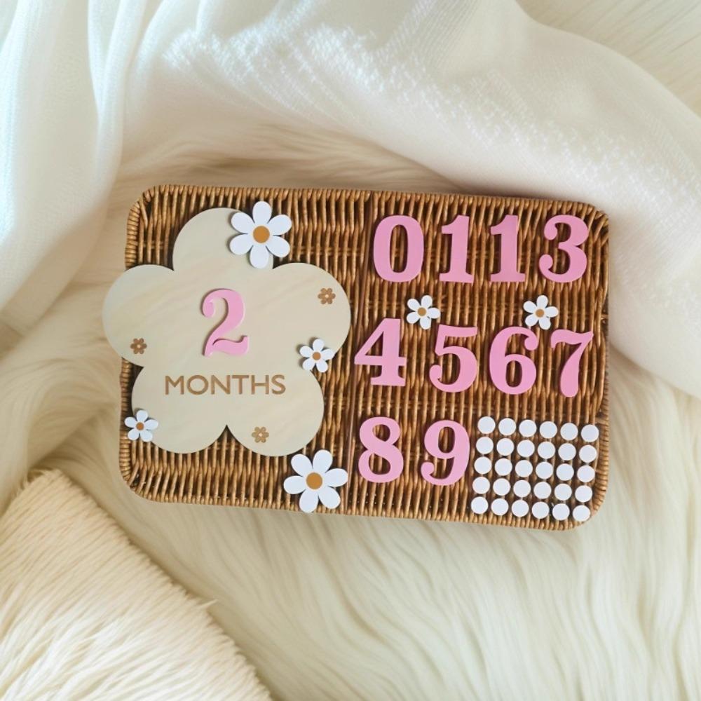 3D Baby Monthly Milestone Sign Cards Wooden 1-12 Months Babies Milestone Birthday Sign Baby Monthly Milestone Markers Disc