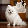 Clear Pet Hair Memorial Keepsakes Pendant Charm Portable Dog Shape Furs Collector Keychain For Key Or Bag Attachments