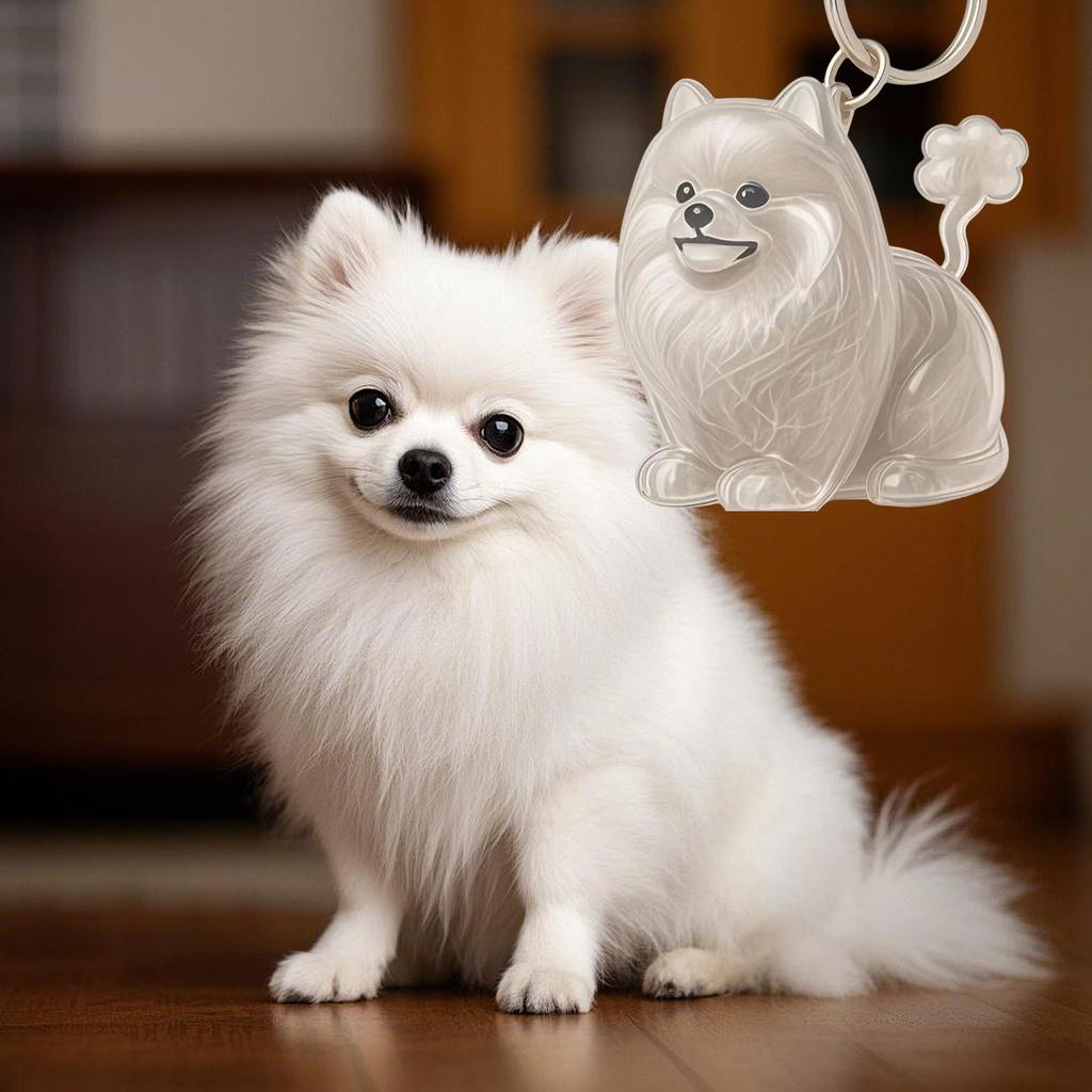 Clear Pet Hair Memorial Keepsakes Pendant Charm Portable Dog Shape Furs Collector Keychain For Key Or Bag Attachments