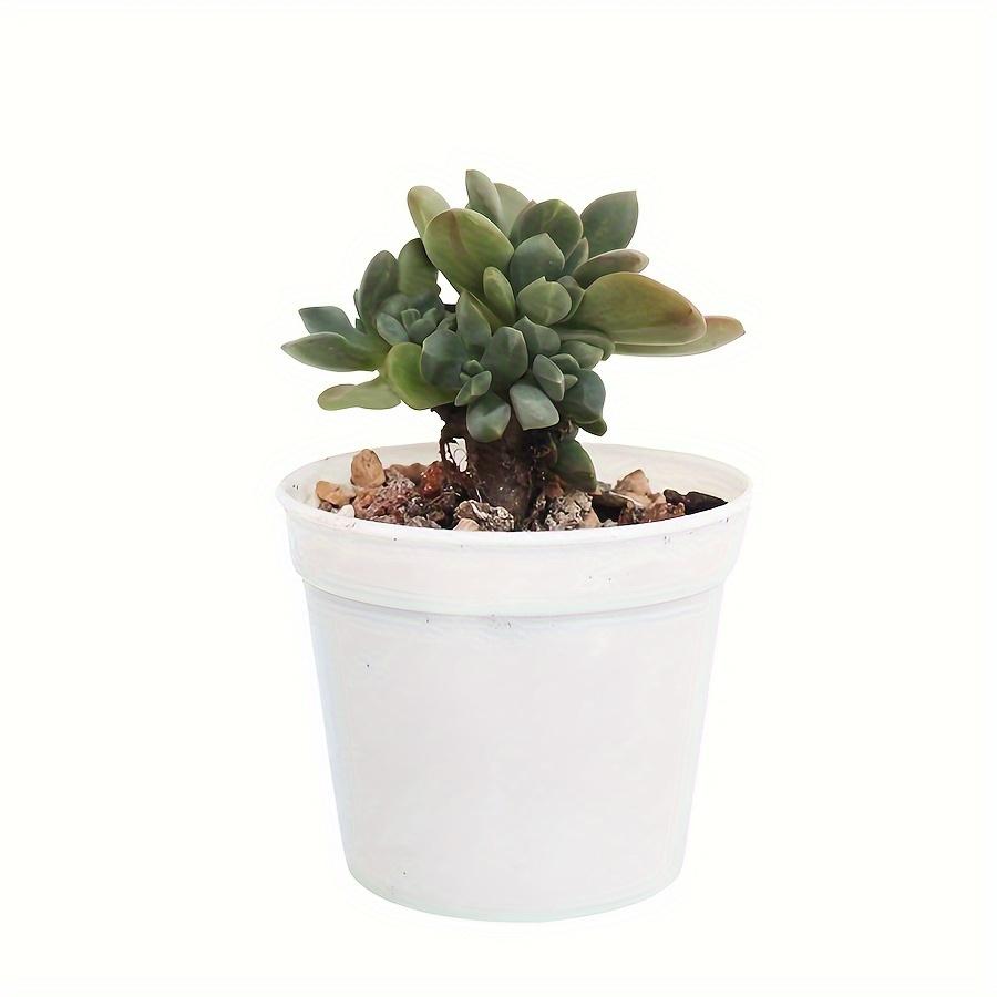20pcs Plant Pots Small Flower Pots with Drainage Hole Durable Plastic Pots Nursery Small Flower Pot Bulk for Plants JXB