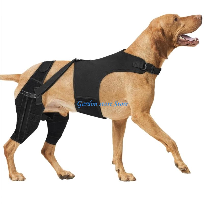 B0KB Leg Canine Support System For Tear Rehabilitation And Daily Comfort Pet Back Leg Support Stabilizer Adjustable