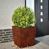 Vidaxl Garden Pots 2 Pcs. 50X50X50 Cm Corten Steel