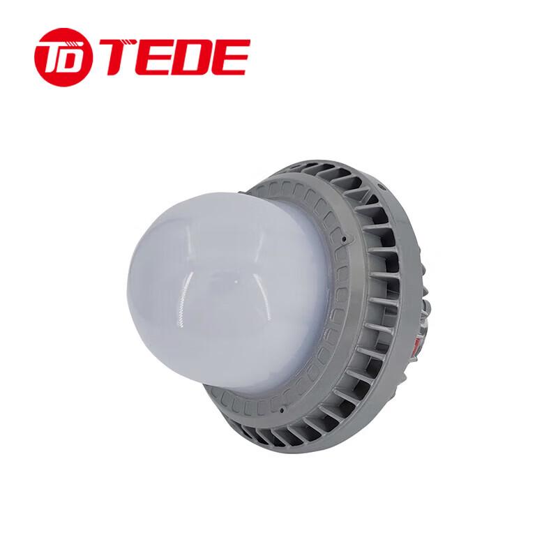 TEDE Outdoor LED Platform Light