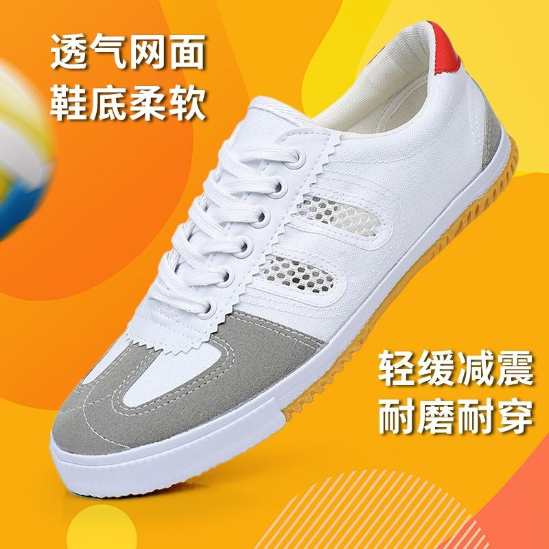 Mesh Volleyball Shoes Running Shoes Lace-up Sports Shoes Casual Shoes Martial Arts Canvas Shoes Track and Field Training Shoes