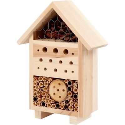 Insekten – Terrarien für Insekten