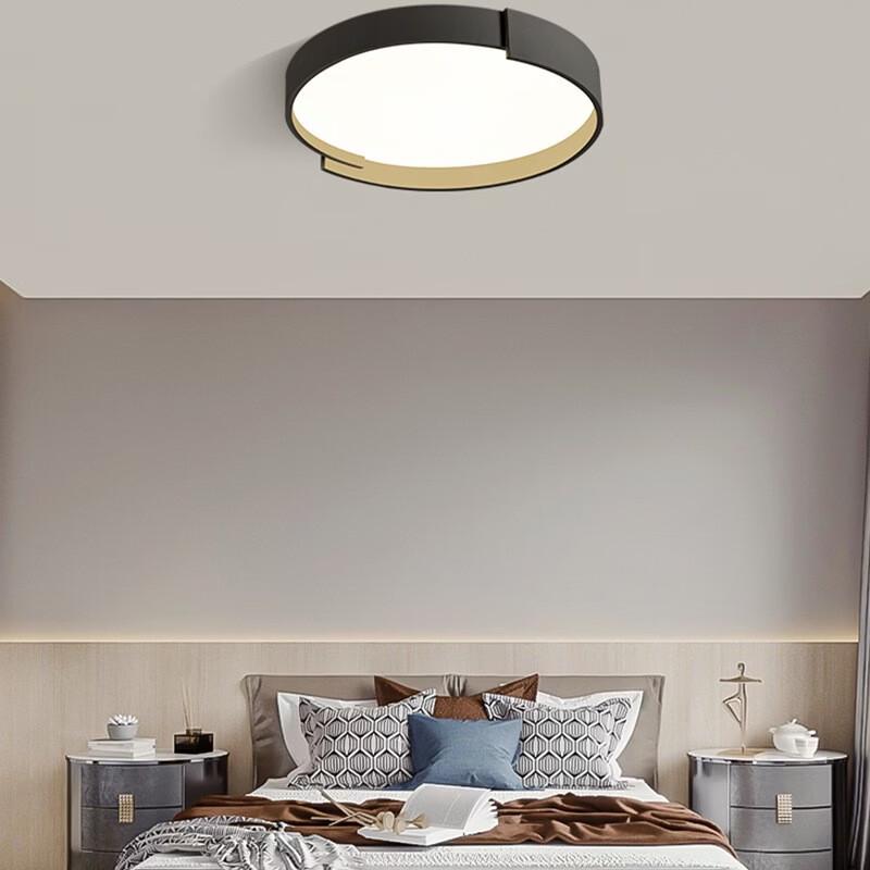 OEING Modern LED Ceiling Light