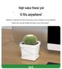 Exquisite Square Succulent Pots with Breathable Plastic Base for Office