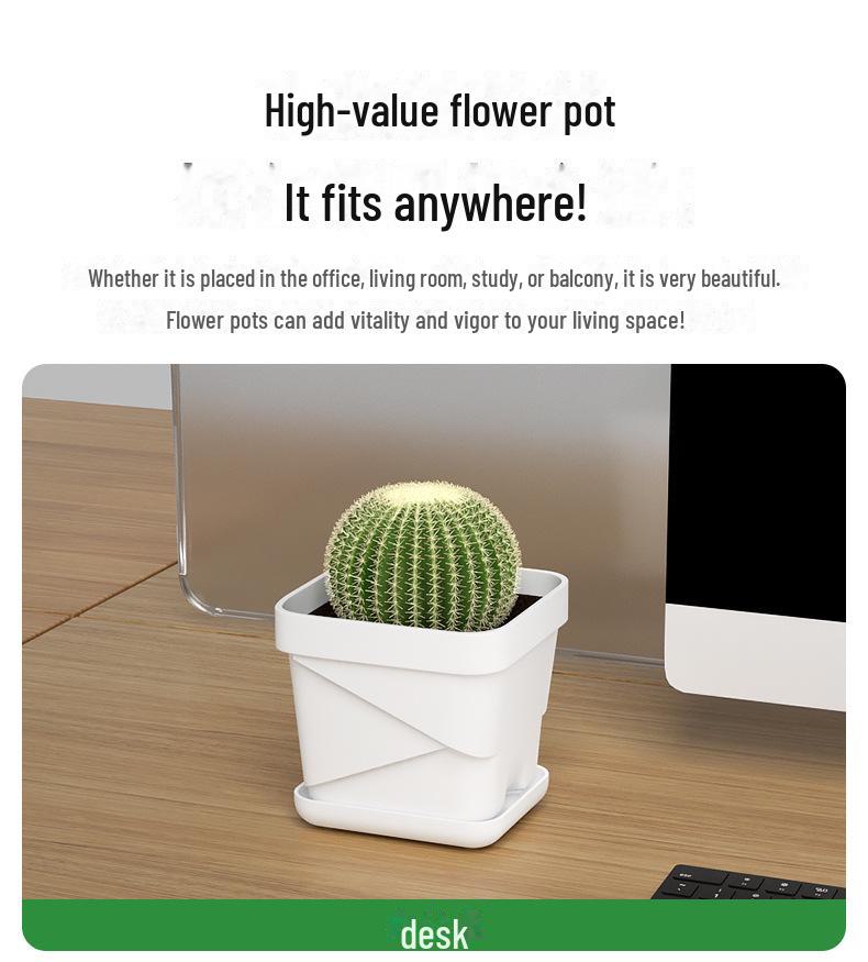 Exquisite Square Succulent Pots with Breathable Plastic Base for Office