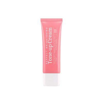 Perfect Brightening Tone Up Cream 50g 1ea