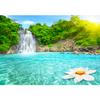 Waterfall River 3d Murals Wallpaper, Forest Lotus Large Wall Mural Modern Bedroom Baby Room Living Wall Paper
