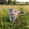 Elza Harness with Leash for Large Cat L Red