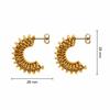 Elegant Stainless Steel C-shaped Trendy Earrings