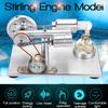 Double-cylinder Hot Air Stirling Engine Model With Light School Demonstration Educational Toy Science Kid DIY Experiment