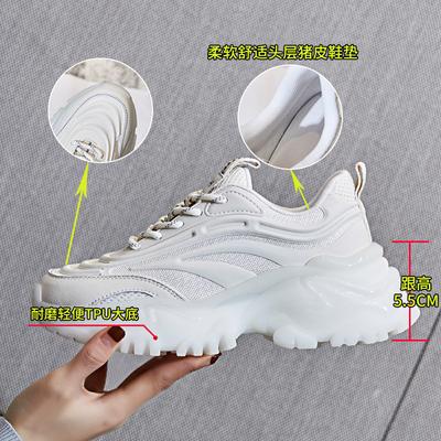 Leather Dad Shoes Women's 2025 Spring New Women's Mesh Shoes Running Sports Shoes Women's Casual Height Increase Wenzhou Women's Shoes