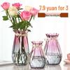 Nordic Transparent Glass Vase for Hydroponic Plants and Home Decoration