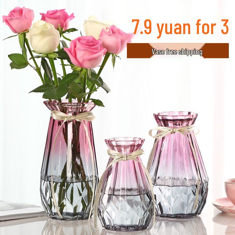 Nordic Transparent Glass Vase for Hydroponic Plants and Home Decoration