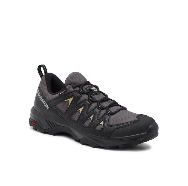 Ботинки треккинговые Salomon X Braze