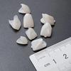 New 2 Packs Dental Temporary Crown Material for Anterior + Molar Teeth Veneers