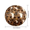 1pc Lion Wild Theme Soccer Ball Football, Size 5, Lightweight PVC, Outdoor Training Soccer Ball,Gift C657