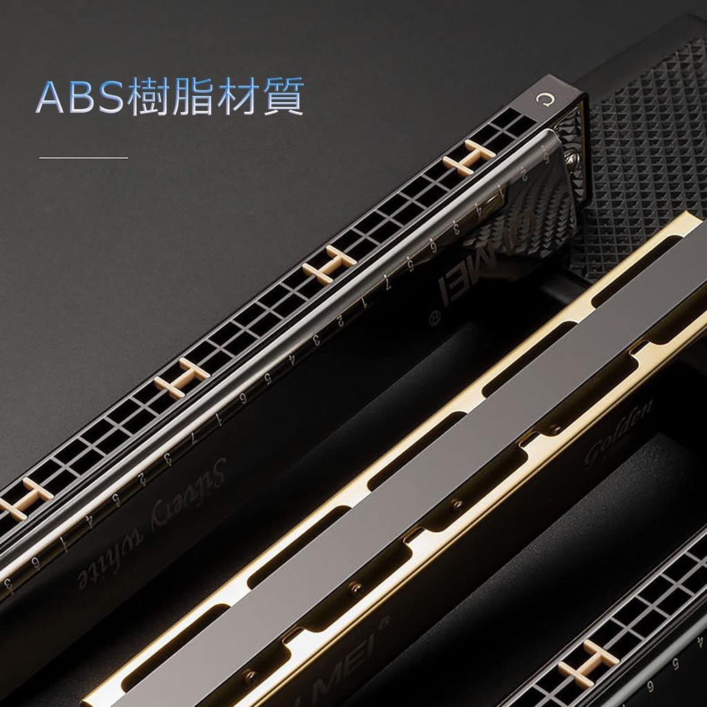 QIMEI Blues 28 Stainless C Set Case for Beginners and Advanced Players 24 Harmonica, 10, 24, Holes, Steel, Key, Airtight, (Gold, Holes)