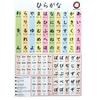 KIOKU Hiragana Katakana Vodotěsný Plakát Vyrobeno v Japonsku Abecední Tabulka Příprava na Zkoušku Vzdělávací Učení Velikost A3 (Hiragana plakát)