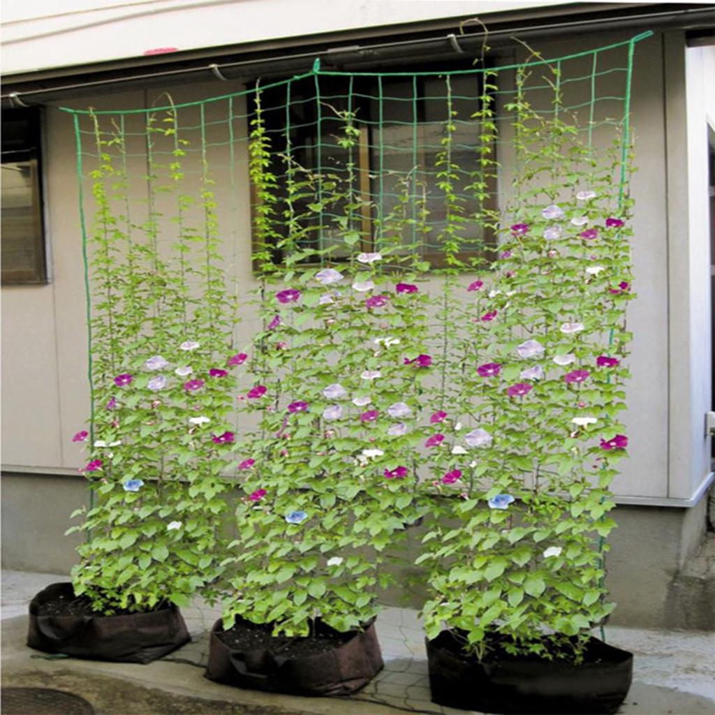 Fruit Vegetable Flower Vine Plants Climbing Net Garden Cucumber Plaid Netting