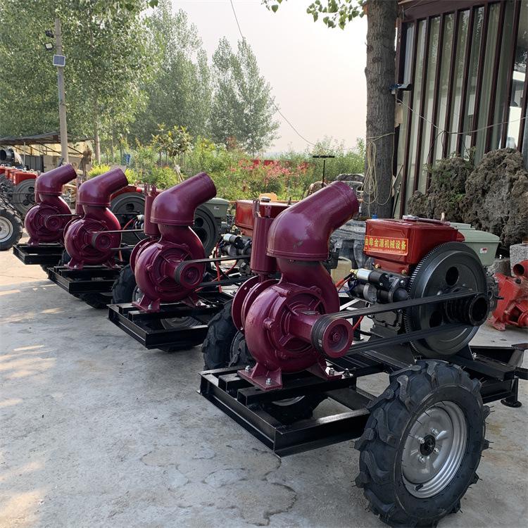 12-дюймовий змішано-потоковий насос для зрошення з високим напором з чотирициліндровим двигуном