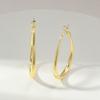 S925 Sterling Copper Pin Earrings Fashion Hoop Earrings White Gold Plated Earrings Nickel Free Earrings