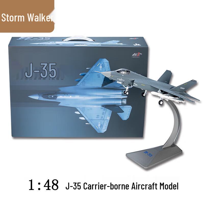 Storm Walker 1:48 J-35 Fighter Jet Model