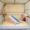 2 Pcs Bird Perch Stand Toy,Random Bird Perch Stand Toy Wood Parrot Grinding Claw Sticks Sanded Cage Toy for Parakeets Finches Parakeet Toys, Sanded