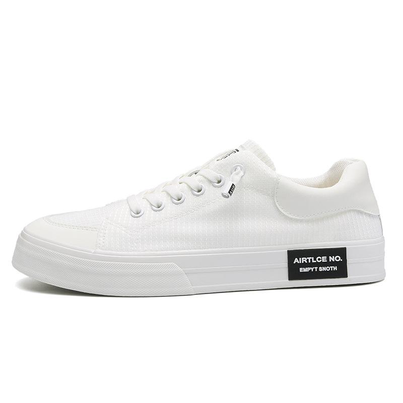New Spring Mens Shoes Korean Style Trendy and Versatile Casual Mens Canvas Shoes Light Luxury Niche Comfortable Flat Shoes