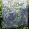 Window Windproof Thermal Insulation Film Winter Cold And Dustproof Warm Film Dustproof Sealing Parts Transparent