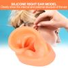 Modello di simulazione dell'orecchio sinistro in silicone per apparecchi acustici ospedalieri