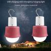 Voice Activated Party Lights USB Charging LED Bulb Light Hiking RGBW Lamps  Outdoor
