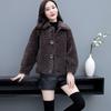 Fur Integrated Coat Women's Autumn and Winter Imitation Lamb Wool Coat Women's Short Loose Popular Coat Trend