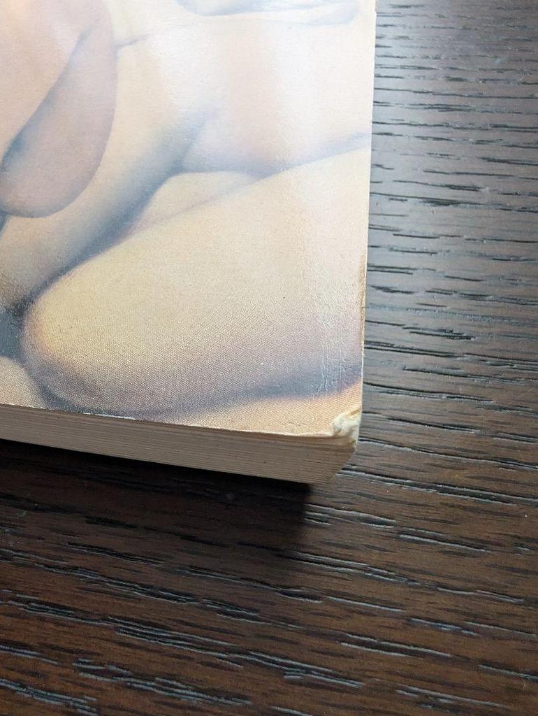 [USED] LOUVRE Art Collection Published In 2005