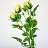 1Pc Artificial Flower Rose Garden DIY Stage Party Wedding Holiday Craft Decor