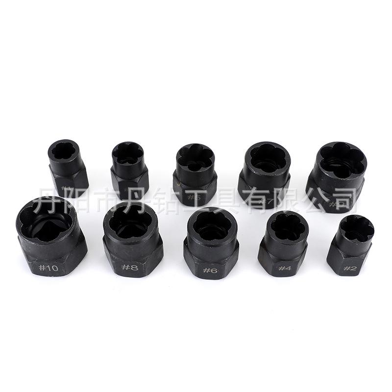 10-Piece Broken Screw Extractor & Angled Nut Remover Set