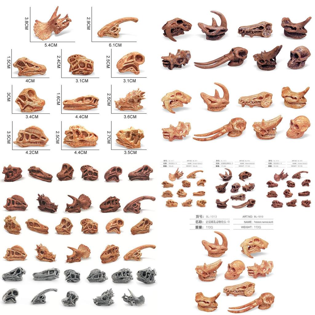 Realistic Jurassic Dinosaur Skull Model Toy For Kids Educational Archaeology Fun