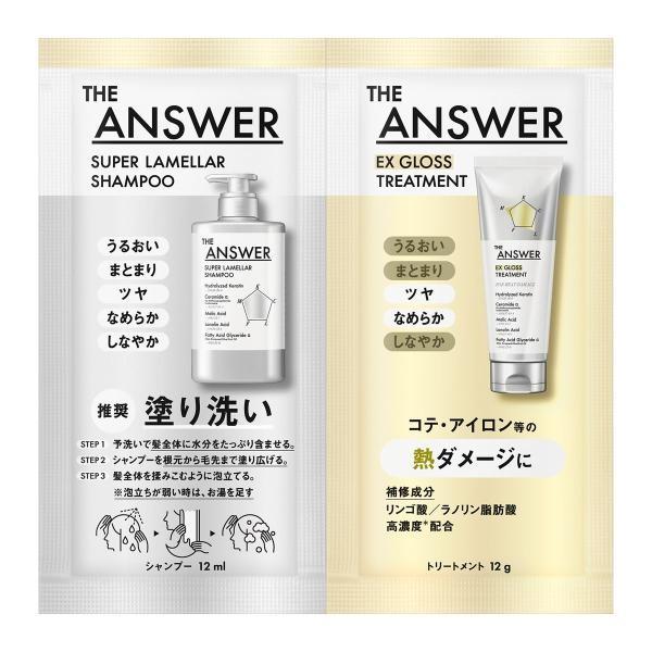 Kao THE ANSWER Shampoo and Treatment Trial Set
