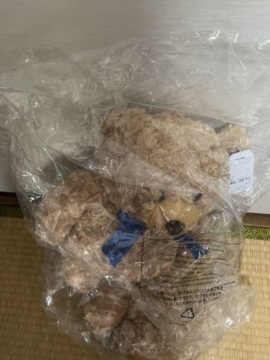[USED] teddy bear