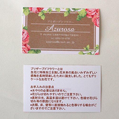 Azurosa Preserved Flower Box, Gift, Square, Never-Withering Flowers, Fragrance, Rose Pink Mix