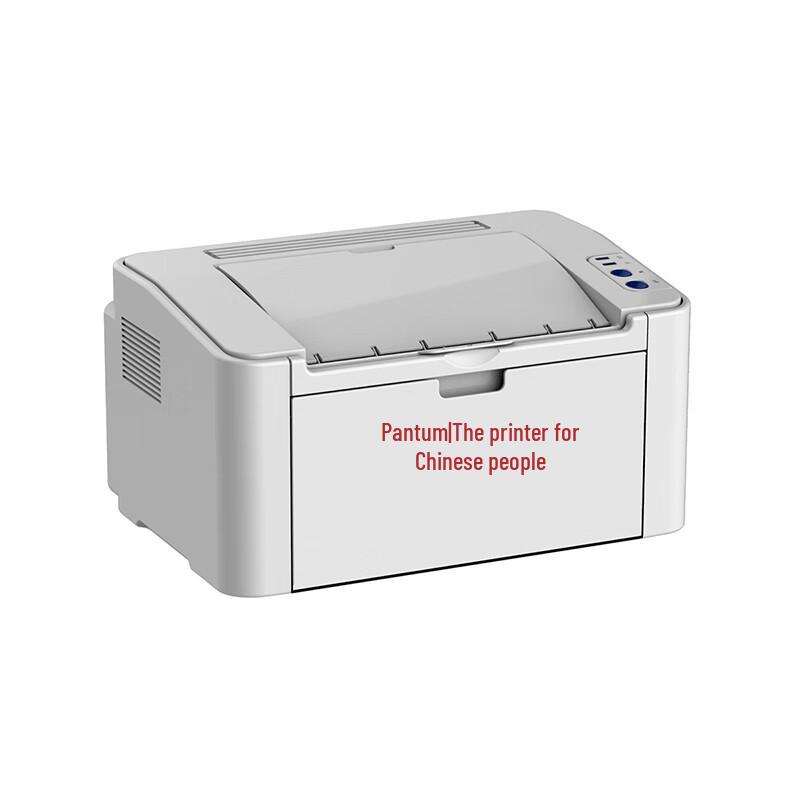 Pantum P2585 A4 Black & White Laser Printer CN Plug (adapter Included)