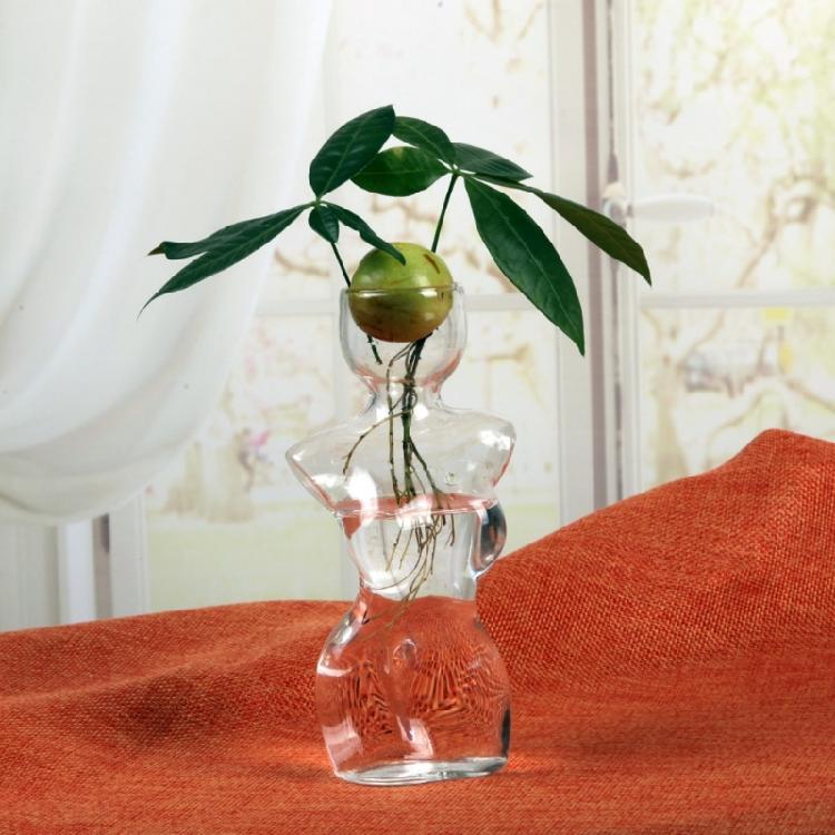 Female Body Clear Hydroponic Growing Glass Vases For Avocado  Modern Homes Decors Plant Display With Visible Root