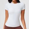 Slim Fit Sports Short Sleeve – Quick Dry Athletic Shirt  – Sweat Wicking & Stretchy – Ideal for Crossfit Pilates Daily Training