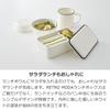 Takenaka Retromoda Square Lunch Bento 1 Made in 600ml Box, Tier, Japan, Gray, Approx. Capacity, T-26606