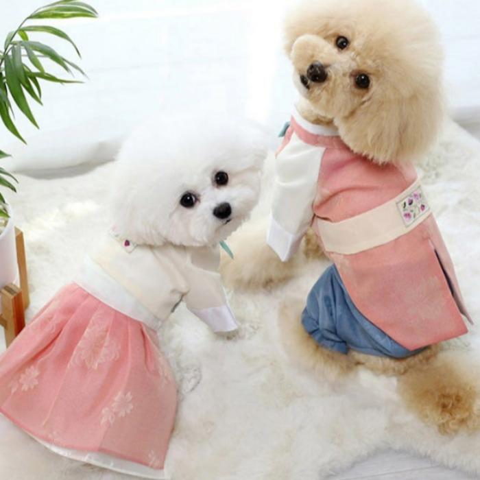 Puppy Eungabi Hanbok Set (Male)