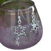 Exquisite Star-Shaped Silver Dangle Earrings with Stainless Steel Hooks