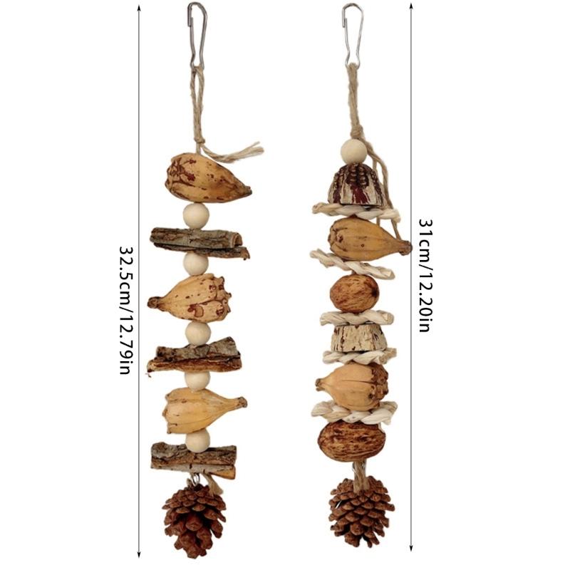 Vogelspielzeug Papagei Kauspielzeug Vogelkäfig Reißspielzeug Kleiner Mittlerer Vogelkäfig Kiefernzapfen Vogelstange für Conure Nymphensittiche